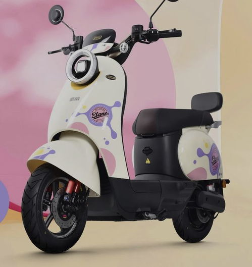 3款高品質電動車亮相,拒絕花里胡哨配置,主打實用性,2100起 鉛酸 電機 續(xù)航 鋰電池 安全性能 網(wǎng)易訂閱