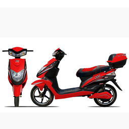 鐵駱駝防盜電動(dòng)車 致富新選