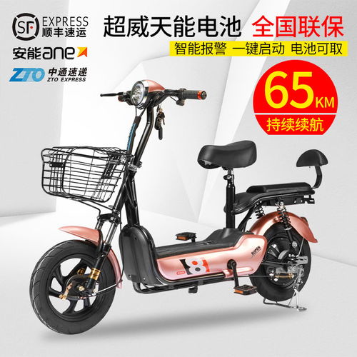 新國(guó)標(biāo)電動(dòng)車成人踏板電動(dòng)自行車48v小型電瓶車男女代步電單車