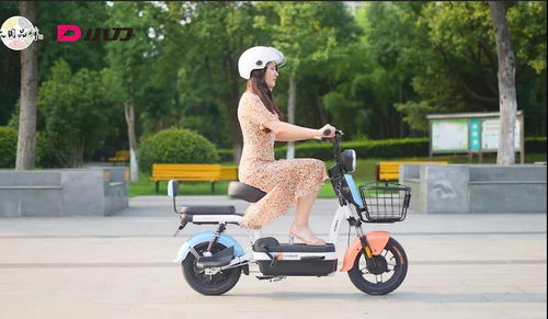 超標電動車退場，綠色出行新選擇 哪些電動車值得換購？