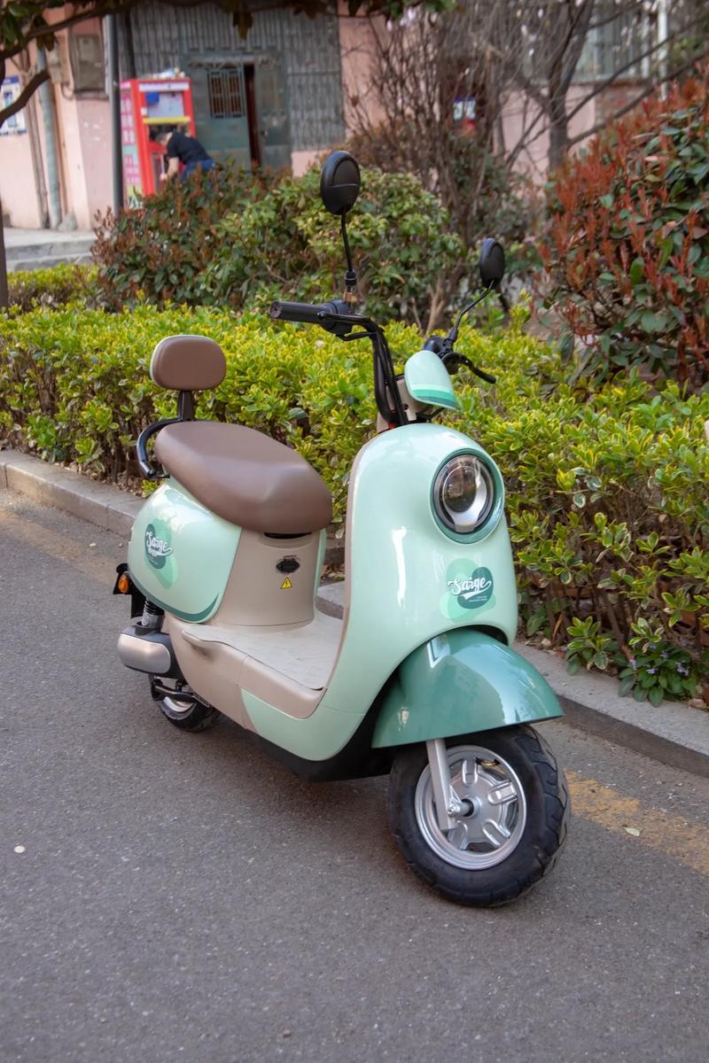 春游出行好伴侶 性價比高的電動車推薦，為175身高量身定制