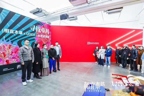 《尋找卓瑪》 非遺文化的當代藝術表達與文化交流實踐